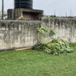 Missionary student studying language notes during missionary internship while experiencing missionary life overseas in Ghana