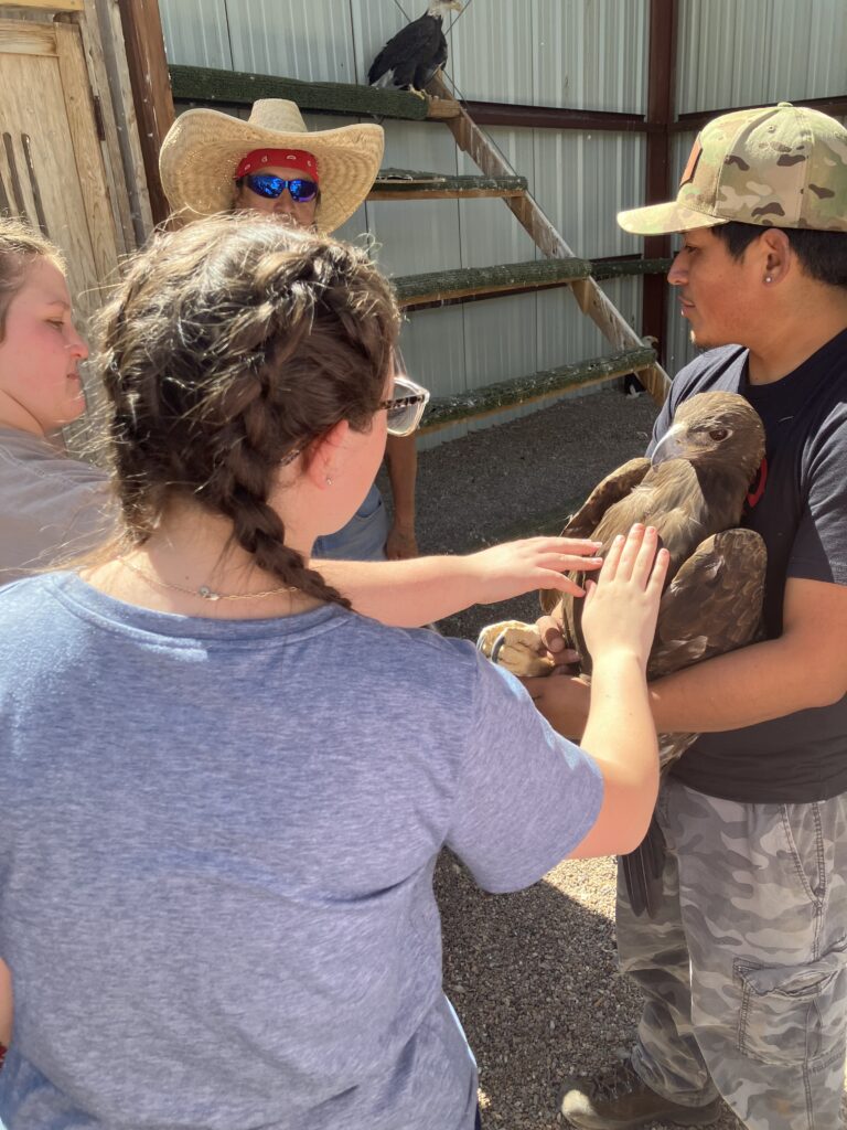 Bonnie gently touches an eagle at a Navajo bird center, guided by local conservationists during the mission trip.