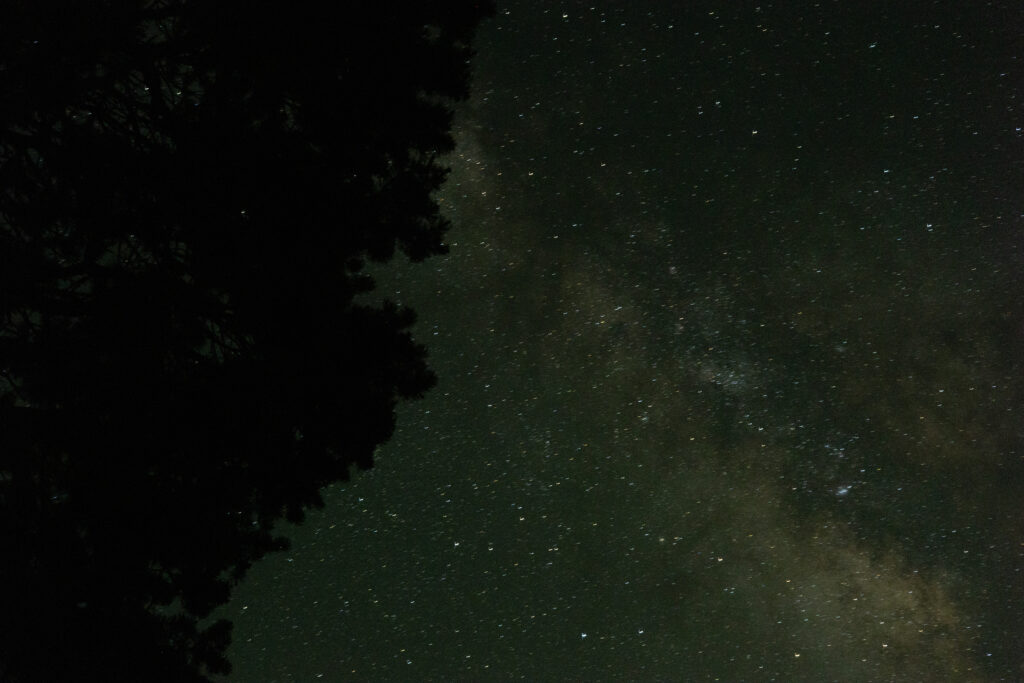 Milky Way stars above tree silhouettes in Arizona desert